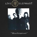 Live Elephant - Fahion Bulletin