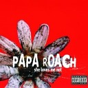 Papa Roach - Naked In Front Of The Computer