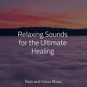 Natureza Musica Bem Estar Academia Musica Para Dormir y Sonidos de la Naturaleza Sounds of Nature White Noise Sound… - Day Dreaming