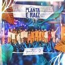 Planta e Raiz - Um Novo Amanhecer Ao Vivo