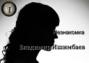 Владимир Ишимбаев - Незнакомка