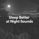 Womb Sound - Sleep Better at Night Sounds Pt 29
