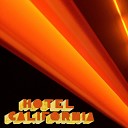 Hotel California feat Daniel Green - Trust