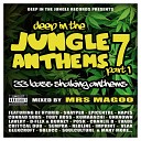 Mrs Magoo - Deep In The Jungle Anthems 7 Part 1 continuous DJ…