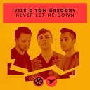 VIZE Tom Gregory - Never Let Me Down