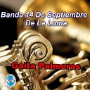 Banda 14 de Septiembre de la Loma - Jose Salvador