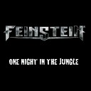 Feinstein - Judgement Day
