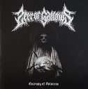 Seer Of Gallows - No Lingering Stellar Remnants For Life To Cling…