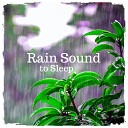 Nature Sounds to Relax - Rain Sound to Sleep Pt 17