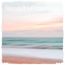 Nature Sounds to Relax - Sound of the Calm Sea