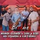 Mandi feat Landi Zani Geri Adi Sybardhi Ilir… - Bisous