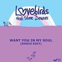 Lovebirds feat Stee Downes - Want You In My Soul Radio Edit