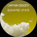 Captain Diggity - Elevated State