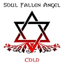Soul Fallen Angel - The Snow Queen