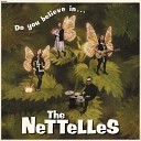 The Nettelles - You Lied to Me Before