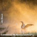 Steve Brassel - Common Loon Calls Afternoon Soundscape Pt 18