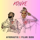 Pilani Bubu AfroNautiq feat Wanlov The… - Who I Am Inna Mix