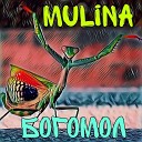 MULINA - БОГОМОЛ prod by SHVZVRA