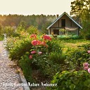 Steve Brassel - Lively Garden Nature Ambience Pt 9