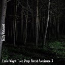 Steve Brassel - Eerie Night Time Deep Forest Ambience Pt 4