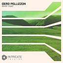 Gero Pellizzon - What I Said Original Mix Edit
