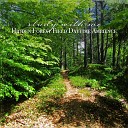 Sebastian Riegl - Hidden Forest Field Daytime Ambience Pt 20