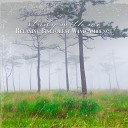 Sebastian Riegl - Relaxing Pineforest Wind Ambience Pt 20