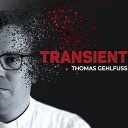 Thomas Gehlfu Matthias M ller - Transient Instrumental