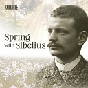 Pekka Kuusisto, Helsinki Philharmonic Orchestra, Leif Segerstam - Violin Concerto in D Minor, Op. 47: III. Allegro, ma non tanto