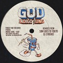Indigo Jung - Done For DJ Streaks Remix