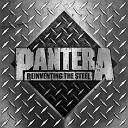 Pantera - Immortally Insane From The Original Soundtrack Heavy Metal…