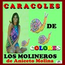 Los Molineros De Aniceto Molina - Voy A Amanecer