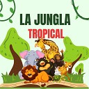 La Jungla Tropical - Vamos al Sur