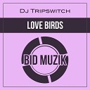 DJ Tripswitch - Love Birds Original Mix