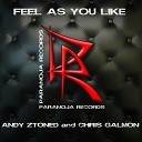 Andy Ztoned Chris Galmon - Feel as You Like