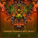 Transient Disorder West Galaxy - Physical Universe