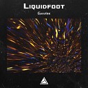 Liquidfoot - Gavrik
