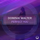 Dominik Walter - Perfect You Extended Mix