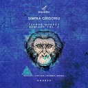 Simina Grigoriu - Techno Monkey DESNA Remix