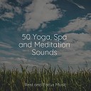 Healing Sounds for Deep Sleep and Relaxation Massagem Cole o de M sicas Saludo al Sol Sonido… - Atmospheric Soundscapes