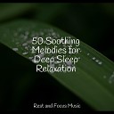 Exam Study Classical Music The Sleep Helpers Mindfulness Mediation… - Sunset on the Mountain