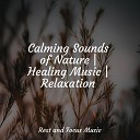 Chillout Lounge Rising Higher Meditation Deep… - Droplets in the Pool