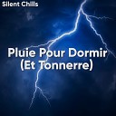 Silent Chills - Nuit pluvieuse Paris