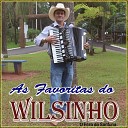 Wilsinho O Fera da Sanfona - Baile no Rancho Alegre