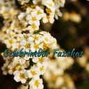Celebrimbor Fazekas - Micro List