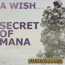 Steven Morris - A Wish From Secret of Mana