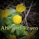 Abelard Bravo - Far off Time