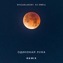 SHIGASLAVSKY DJ Smell - Одинокая луна Remix
