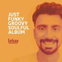 Lehay - My Feelings for You Radio Edit