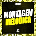 FPX 077 - Montagem Mel dica